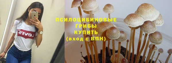 дурь Козельск